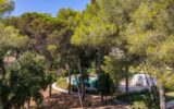 Appartement à vendre à Cavalaire-sur-mer — Vue parc & jardin — photo 18