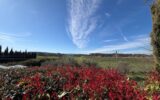 Maison à vendre à Cotignac — Vue montagne — photo 1