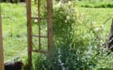 Maison à vendre à Valdallière — Vue nature — photo 6