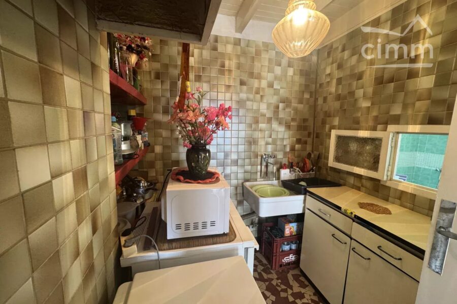 Maison à vendre à Thiolières — Vue montagne — photo 12