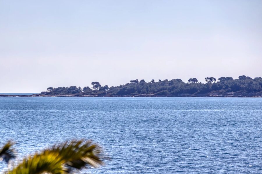 Appartement à vendre à Cannes — Vue mer — photo 1