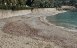 Appartement à vendre à Roquebrune-cap-martin — Vue mer — photo 17