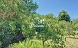 Maison à vendre à Limoux — Vue nature — photo 1