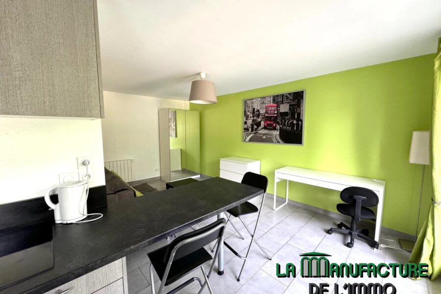 Appartement à louer à Saint-Étienne — Vue sur la ville — photo 3