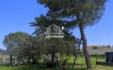 Maison à vendre à Sainte-valière — Vue nature — photo 8