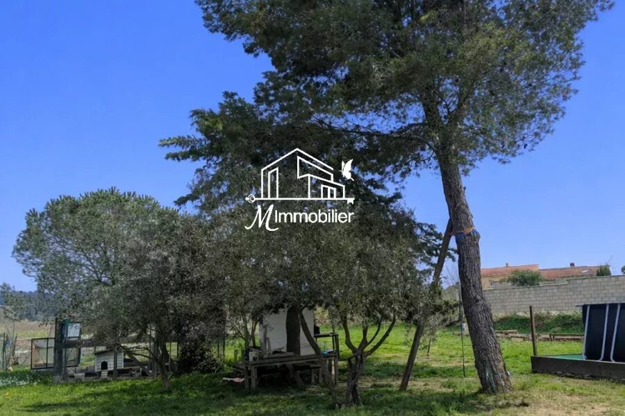 Maison à vendre à Sainte-valière — Vue nature — photo 8