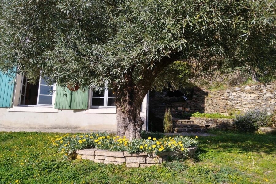 Maison à vendre à Sumène — Vue montagne — photo 37
