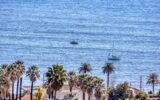 Maison à vendre à Golfe-juan — Vue mer — photo 29