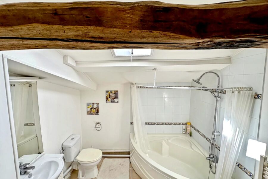 Maison à vendre à Saint-dizant-du-gua — Vue parc & jardin — photo 21