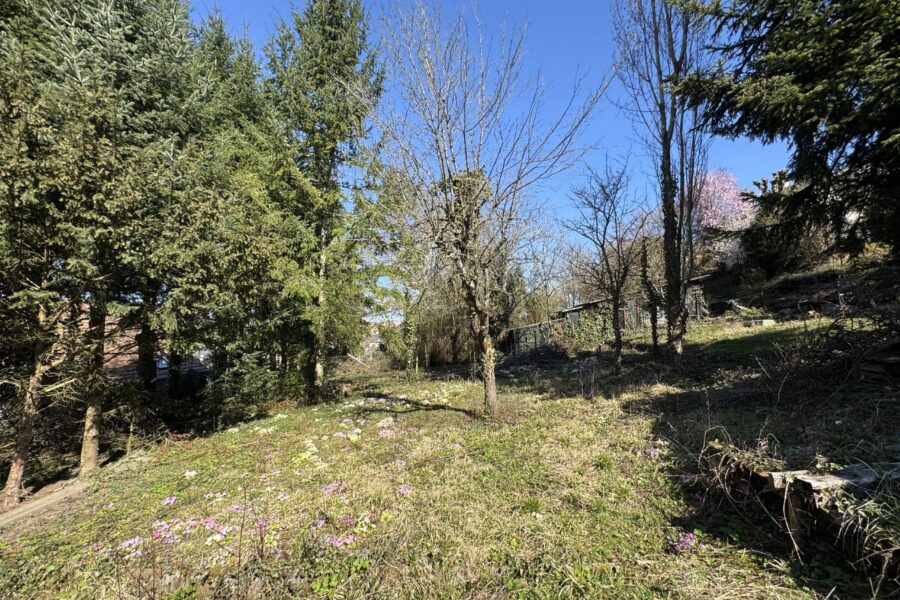 Terrain à vendre à Altkirch — Vue nature — photo 3