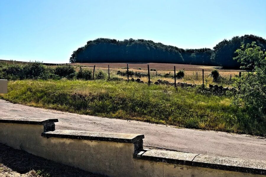 Maison à vendre à Saint-didier — Vue nature — photo 2