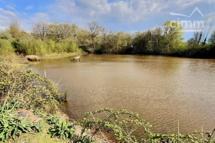 Terrain à vendre à Nozay — Vue lac — photo 6