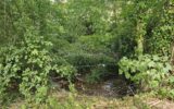 Maison à vendre à Douville-en-auge — Vue nature — photo 17