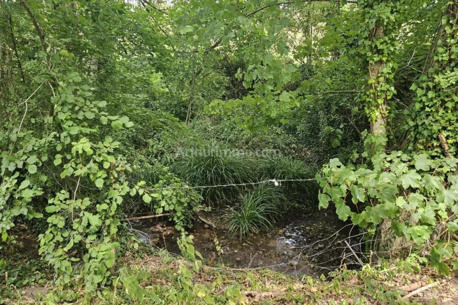 Maison à vendre à Douville-en-auge — Vue nature — photo 17