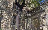 Maison à vendre à Visan — Vue montagne — photo 9