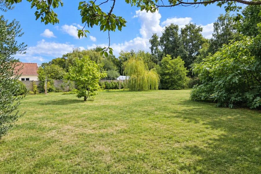 Maison à vendre à Cavan — Vue parc & jardin — photo 10