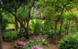 Maison à vendre à Roquebrune-cap-martin — Vue mer — photo 25