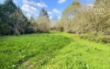 Terrain à vendre à Nozay — Vue lac — photo 2