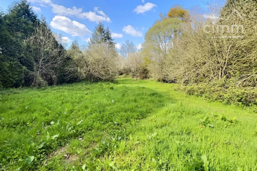 Terrain à vendre à Nozay — Vue lac — photo 2