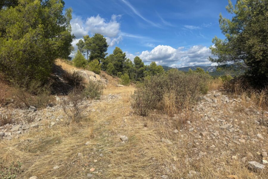 Terrain à vendre à Figanières — Vue nature — photo 10