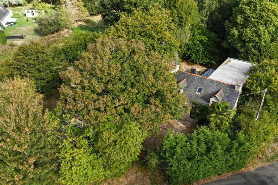 Maison à vendre à Pontivy — Vue parc & jardin — photo 21