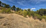 Terrain à vendre à Figanières — Vue nature — photo 9