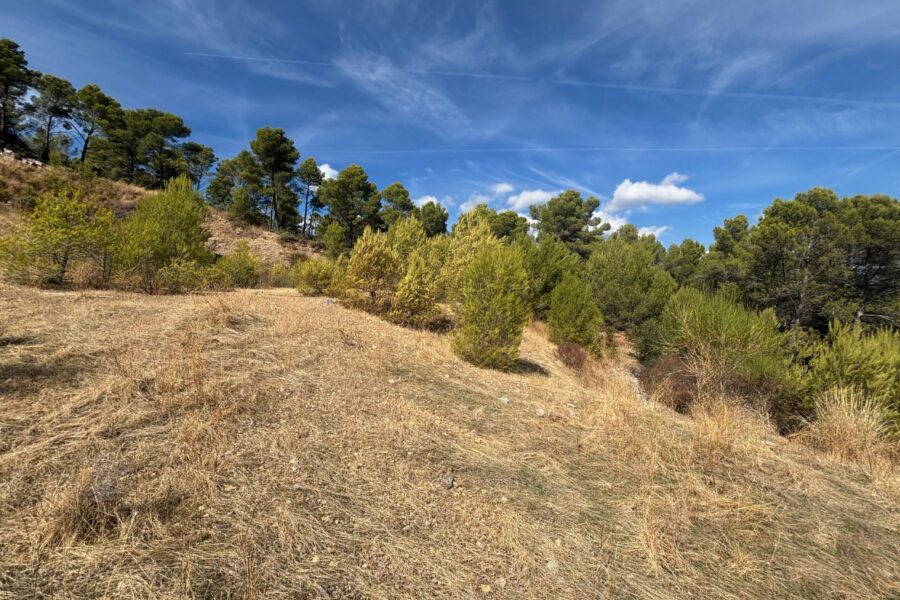 Terrain à vendre à Figanières — Vue nature — photo 9