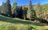 Terrain à vendre à La clusaz — Vue nature — photo 2
