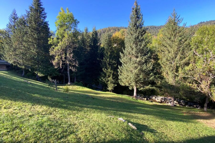 Terrain à vendre à La clusaz — Vue nature — photo 2