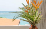 Appartement en location vacances à Gosier — Vue mer — photo 4