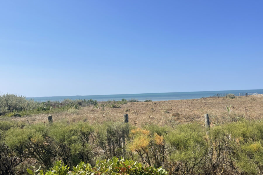 Maison à vendre à Sainte-marie-de-ré — Vue mer — photo 1