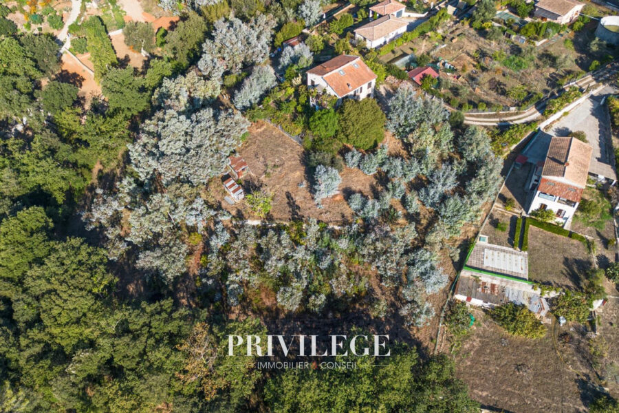 Terrain à vendre à Biot — Vue dégagée — photo 2