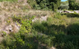 Terrain à vendre à Carcès — Vue nature — photo 11