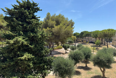 Appartement à vendre à Balaruc-les-bains