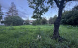 Terrain à vendre à Prunelli-di-Fiumorbo — Vue dégagée — photo 1
