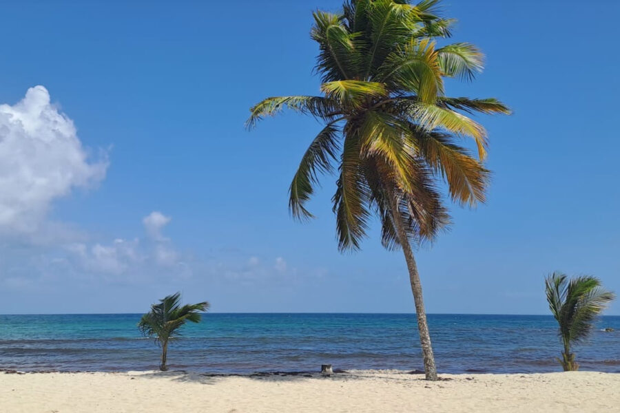 Appartement à vendre à Gosier — Vue mer — photo 9