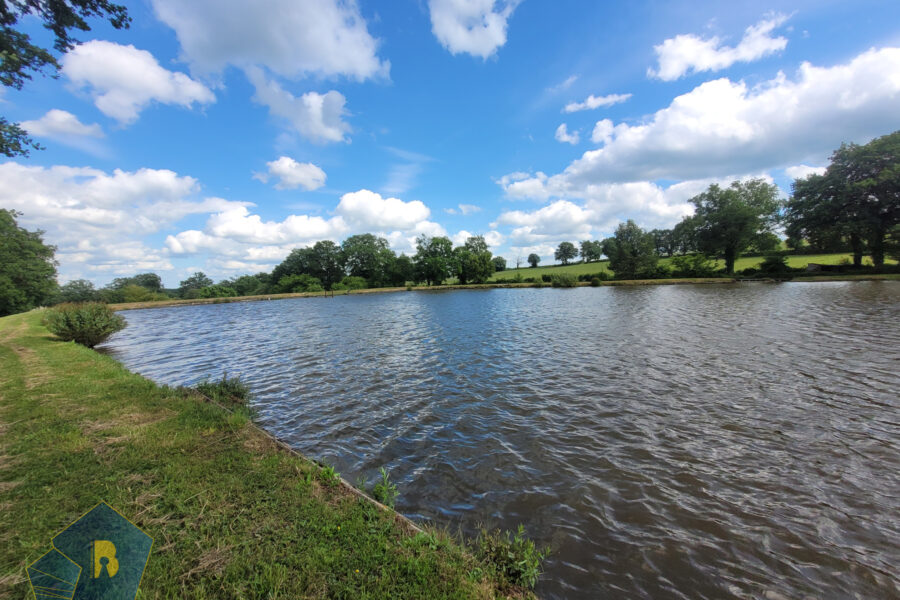Terrain à vendre à Chambérat — Vue lac — photo 17
