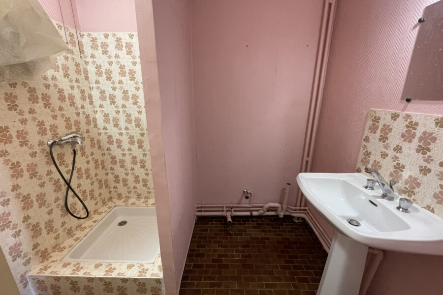 Appartement à vendre à Villeurbanne — Vue parc & jardin — photo 10