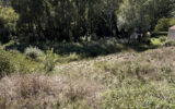 Terrain à vendre à Carcès — Vue nature — photo 3