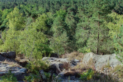 Terrain à vendre à Buno-bonnevaux