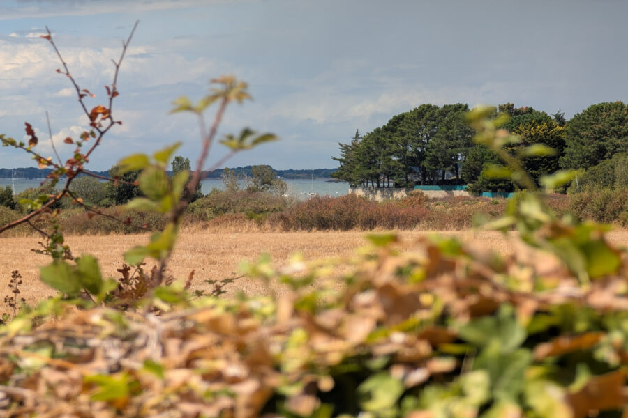 Maison à vendre à Saint-armel — Vue mer — photo 2