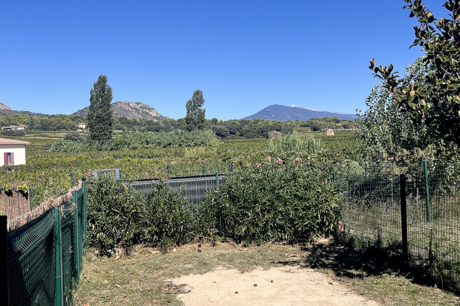 Maison à vendre à Beaumes-de-venise — Vue nature — photo 15