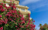 Appartement à vendre à Cannes — Vue mer — photo 4