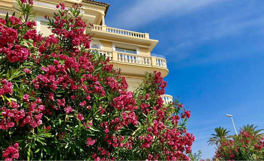 Appartement à vendre à Cannes — Vue mer — photo 4