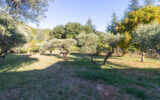 Maison à vendre à Olmet-et-villecun — Vue nature — photo 1
