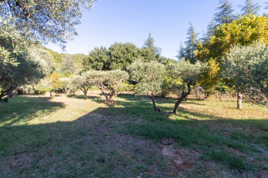 Maison à vendre à Olmet-et-villecun — Vue nature — photo 1