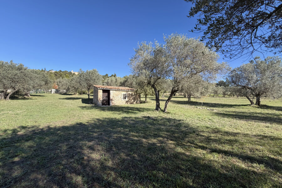 Terrain à vendre à Moissac-bellevue — Vue nature — photo 4