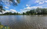 Terrain à vendre à Chambérat — Vue lac — photo 20