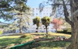 Appartement à vendre à Vienne — Vue sur la ville — photo 10