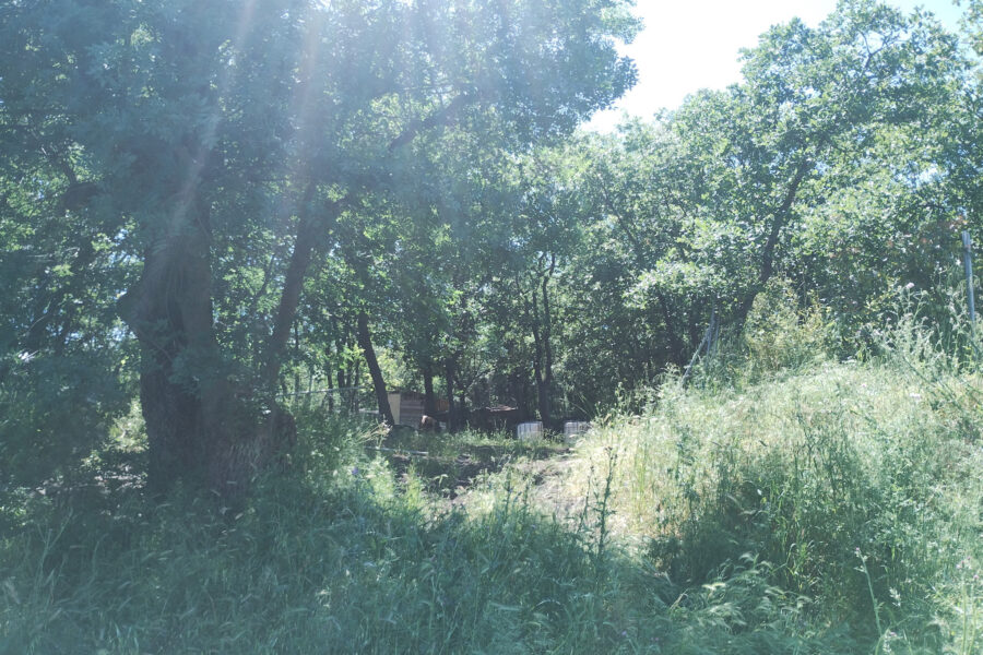 Terrain à vendre à Lacoste — Vue nature — photo 10